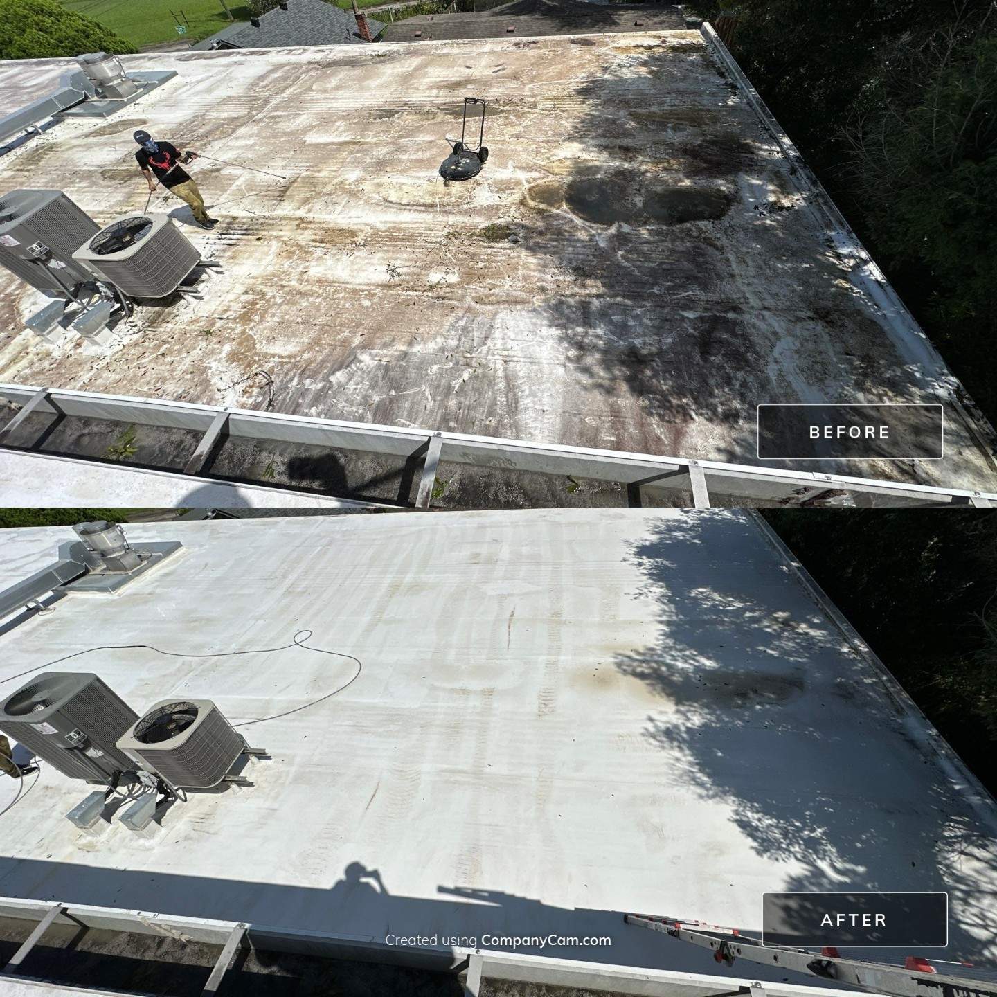 Commercial TPO Roof Cleaning on Norwood Ave: Restoring Reflectivity in Jacksonville, FL